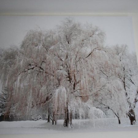 Longview House Bed & Breakfast แบลลีย์มันนี ภายนอก รูปภาพ