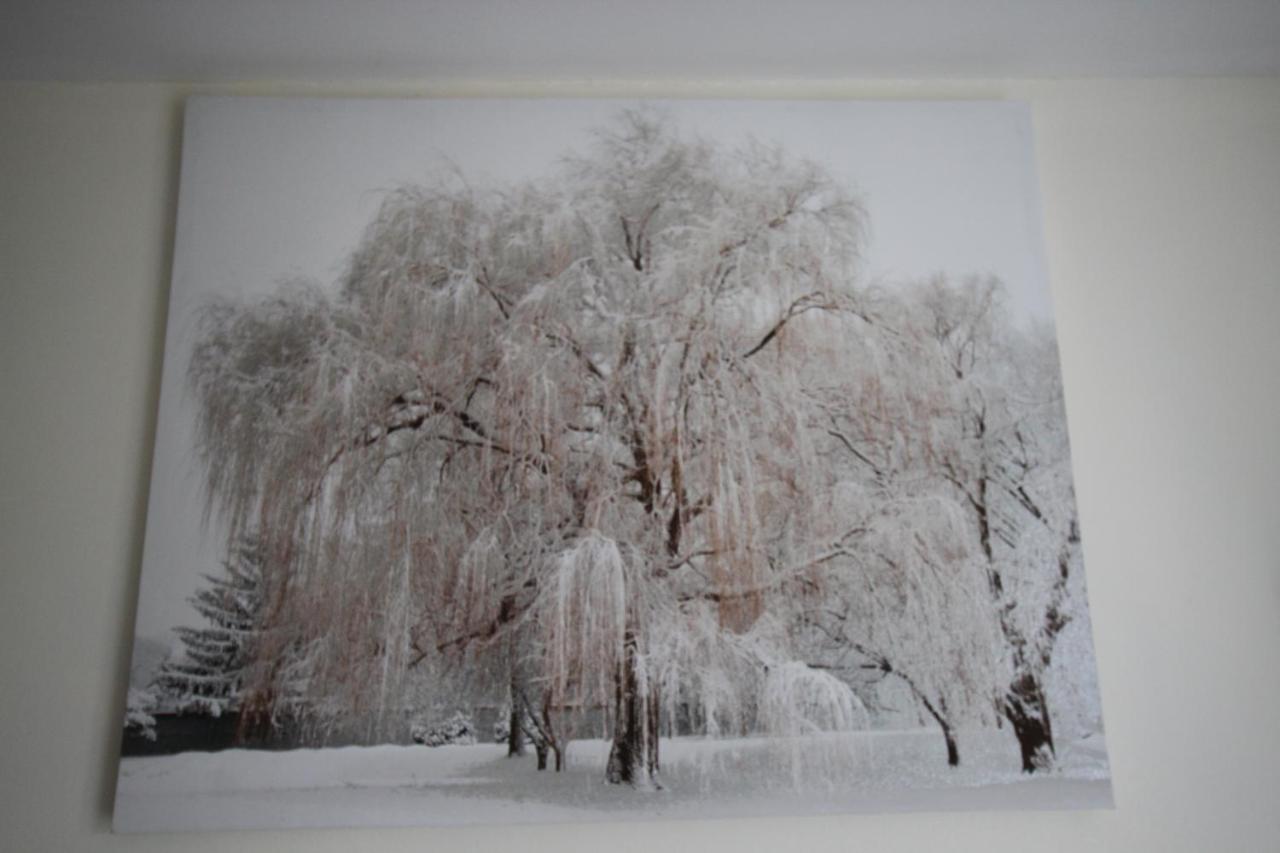 Longview House Bed & Breakfast แบลลีย์มันนี ภายนอก รูปภาพ